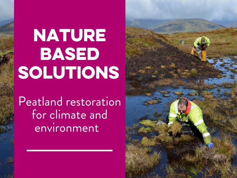 Nature-based solutions: Peatland restoration for climate and environment